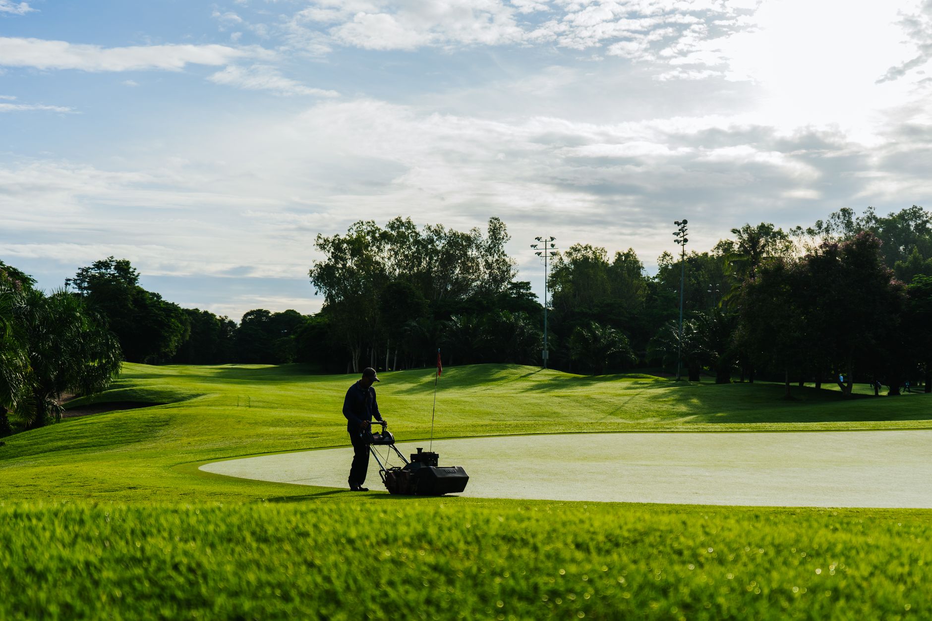 tree removal D.C. golf course